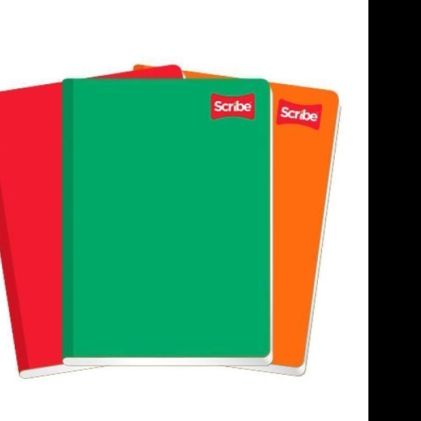 CUADERNO FRANC. CLASICO SCRIBE 4513 C7 COS. 100H. PZA